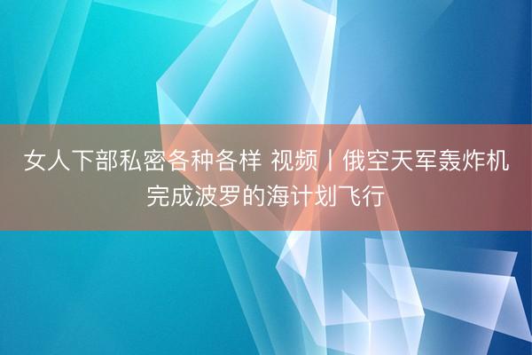 女人下部私密各种各样 视频丨俄空天军轰炸机完成波罗的海计划飞行