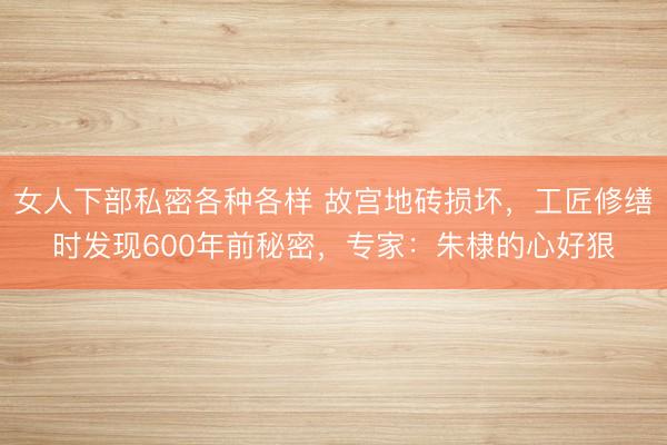 女人下部私密各种各样 故宫地砖损坏，工匠修缮时发现600年前秘密，专家：朱棣的心好狠