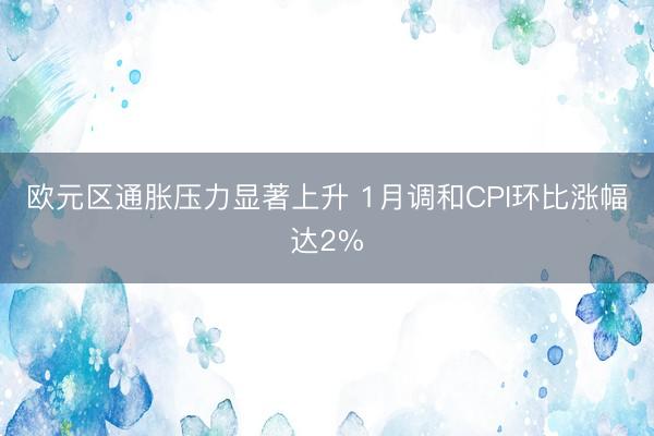 欧元区通胀压力显著上升 1月调和CPI环比涨幅达2%