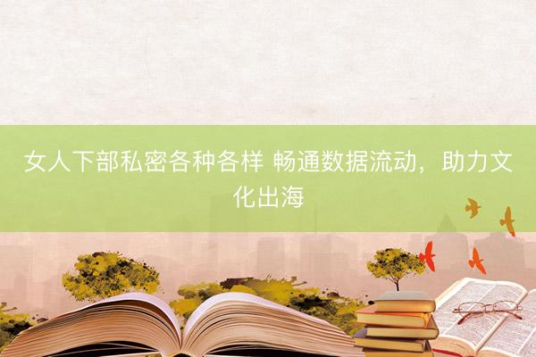 女人下部私密各种各样 畅通数据流动，助力文化出海