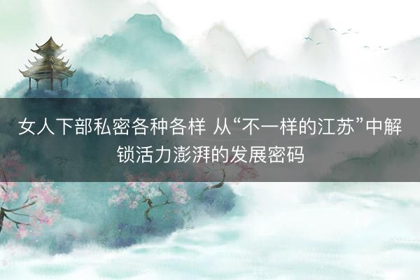 女人下部私密各种各样 从“不一样的江苏”中解锁活力澎湃的发展密码