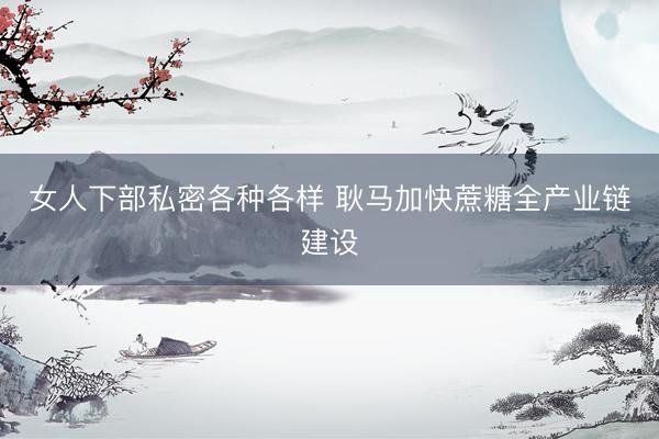 女人下部私密各种各样 耿马加快蔗糖全产业链建设