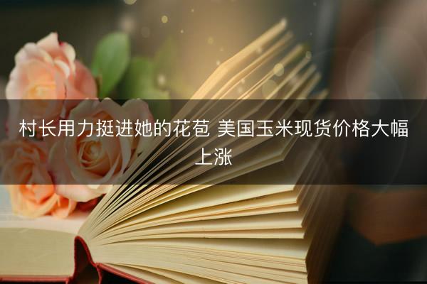 村长用力挺进她的花苞 美国玉米现货价格大幅上涨