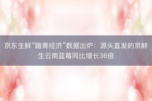 京东生鲜“踏青经济”数据出炉：源头直发的京鲜生云南蓝莓同比增长36倍