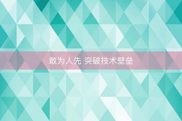 敢为人先 突破技术壁垒