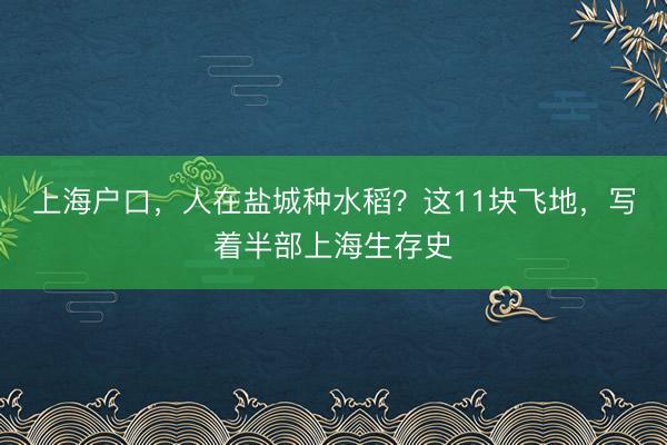 上海户口，人在盐城种水稻？这11块飞地，写着半部上海生存史