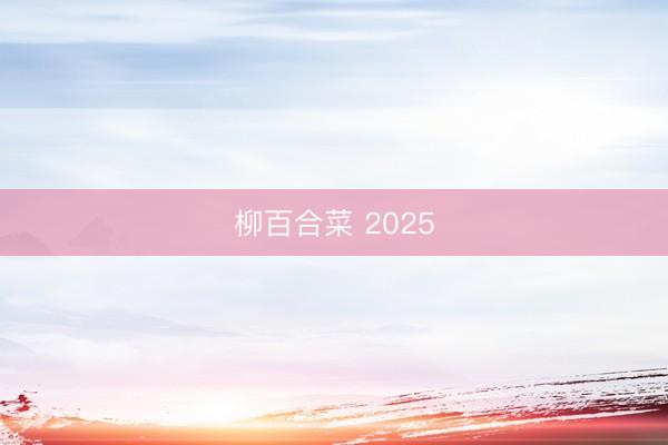 柳百合菜 2025