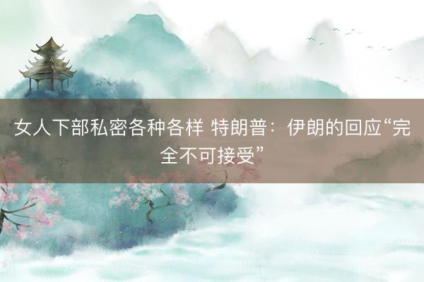 女人下部私密各种各样 特朗普：伊朗的回应“完全不可接受”