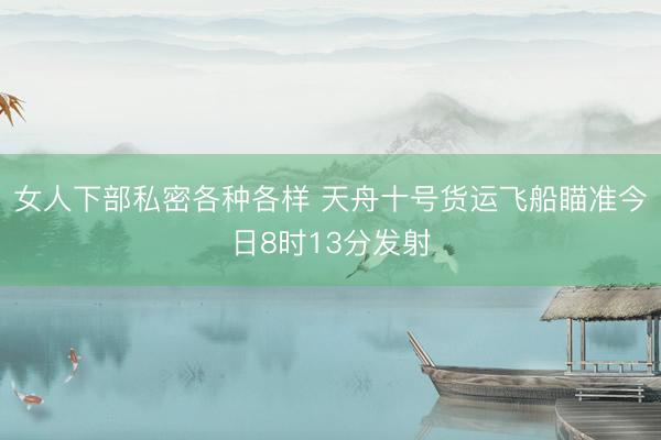 女人下部私密各种各样 天舟十号货运飞船瞄准今日8时13分发射