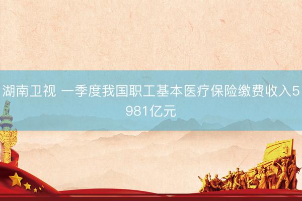 湖南卫视 一季度我国职工基本医疗保险缴费收入5981亿元