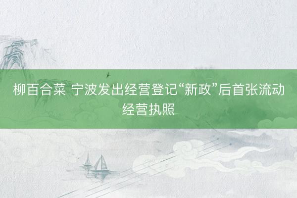 柳百合菜 宁波发出经营登记“新政”后首张流动经营执照