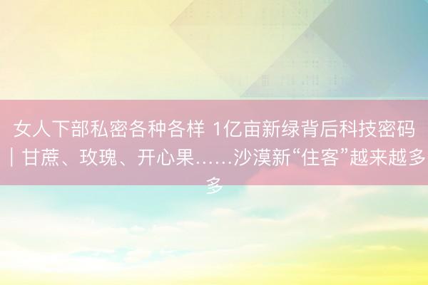 女人下部私密各种各样 1亿亩新绿背后科技密码｜甘蔗、玫瑰、开心果……沙漠新“住客”越来越多