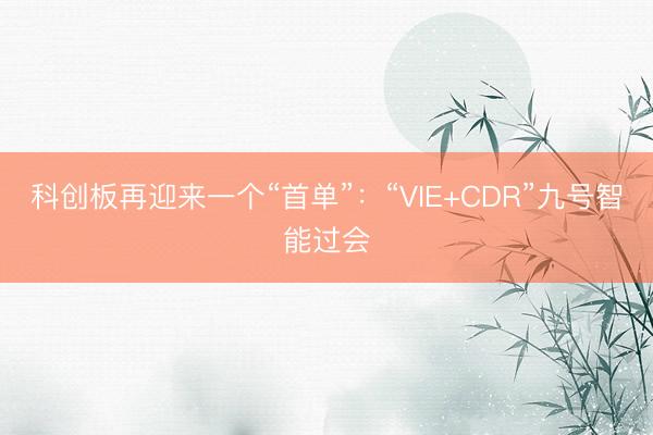 科创板再迎来一个“首单”：“VIE+CDR”九号智能过会