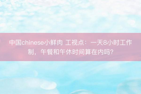 中国chinese小鲜肉 工视点：一天8小时工作制，午餐和午休时间算在内吗？
