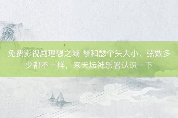 免费影视剧理想之城 琴和瑟个头大小、弦数多少都不一样，来天坛神乐署认识一下