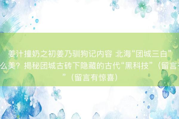姜汁撞奶之初姜乃驯狗记内容 北海“团城三白”为何这么美？揭秘团城古砖下隐藏的古代“黑科技”（留言有惊喜）