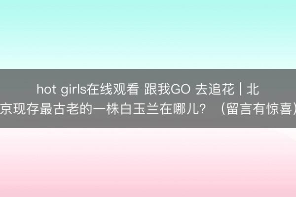hot girls在线观看 跟我GO 去追花 | 北京现存最古老的一株白玉兰在哪儿?(留言有惊喜)