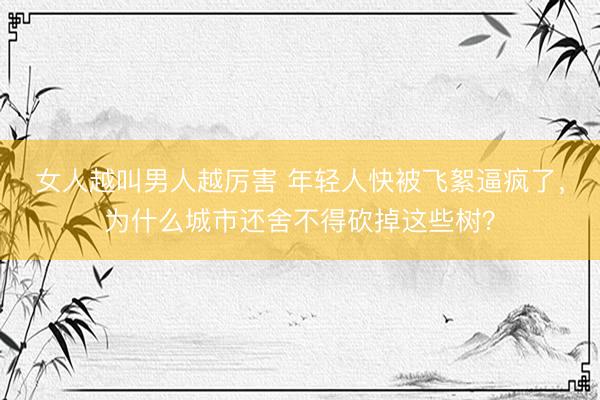 女人越叫男人越厉害 年轻人快被飞絮逼疯了，为什么城市还舍不得砍掉这些树？