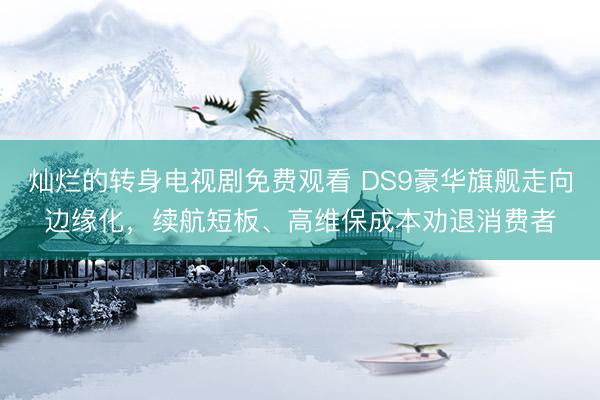 灿烂的转身电视剧免费观看 DS9豪华旗舰走向边缘化，续航短板、高维保成本劝退消费者