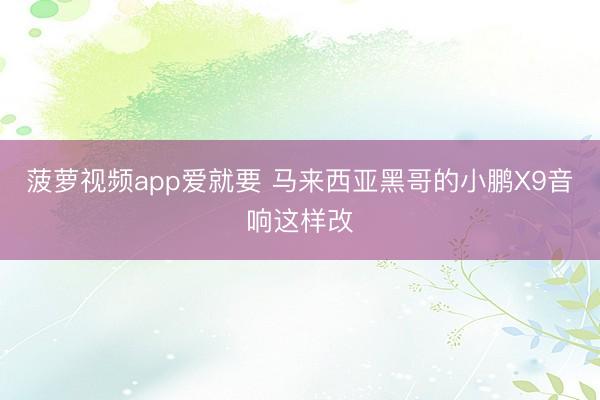 菠萝视频app爱就要 马来西亚黑哥的小鹏X9音响这样改