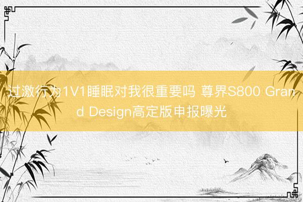 过激行为1V1睡眠对我很重要吗 尊界S800 Grand Design高定版申报曝光