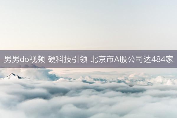 男男do视频 硬科技引领 北京市A股公司达484家