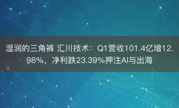 湿润的三角裤 汇川技术：Q1营收101.4亿增12.98%，净利跌23.39%押注AI与出海