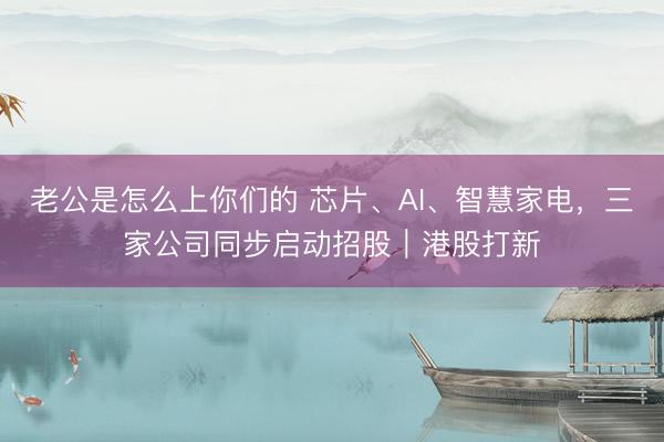 老公是怎么上你们的 芯片、AI、智慧家电，三家公司同步启动招股｜港股打新