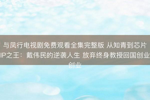 与凤行电视剧免费观看全集完整版 从知青到芯片IP之王：戴伟民的逆袭人生 放弃终身教授回国创业