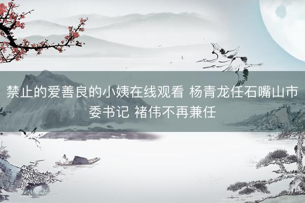 禁止的爱善良的小姨在线观看 杨青龙任石嘴山市委书记 褚伟不再兼任