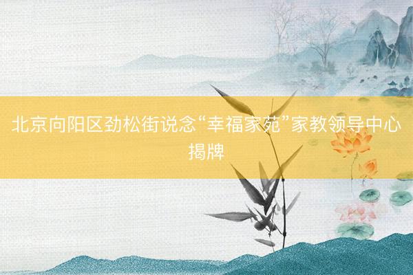 北京向阳区劲松街说念“幸福家苑”家教领导中心揭牌