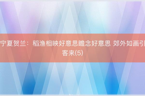 宁夏贺兰:稻渔相映好意思瞻念好意思 郊外如画引客来(5)