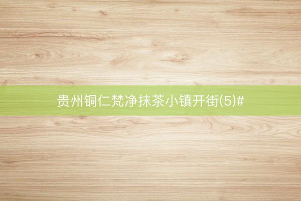 贵州铜仁梵净抹茶小镇开街(5)#