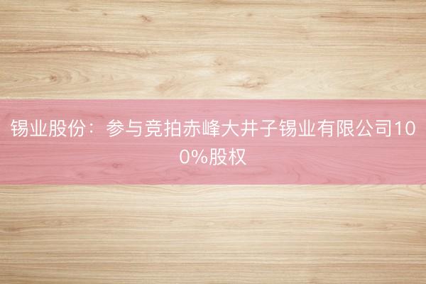 锡业股份：参与竞拍赤峰大井子锡业有限公司100%股权