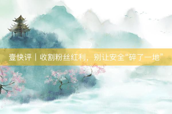 壹快评｜收割粉丝红利，别让安全“碎了一地”