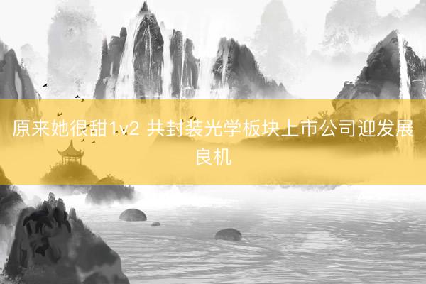 原来她很甜1v2 共封装光学板块上市公司迎发展良机