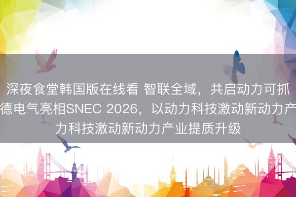 深夜食堂韩国版在线看 智联全域,共启动力可抓续——施耐德电气亮相SNEC 2026,以动力科技激动新动力产业提质升级