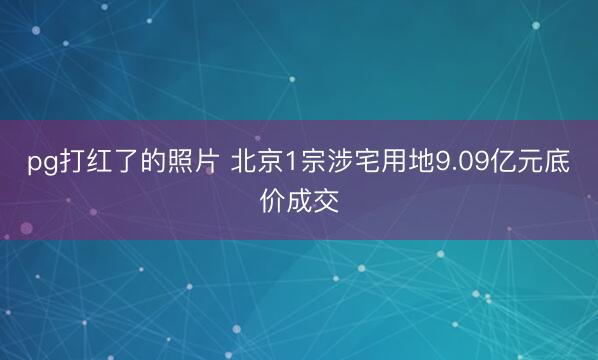 pg打红了的照片 北京1宗涉宅用地9.09亿元底价成交
