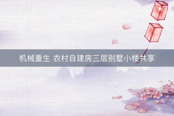 机械重生 农村自建房三层别墅小楼共享