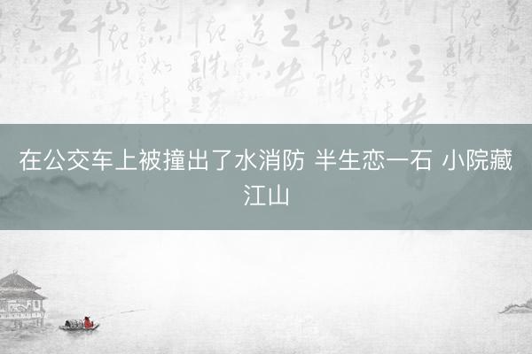 在公交车上被撞出了水消防 半生恋一石 小院藏江山