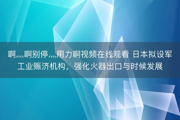 啊灬啊别停灬用力啊视频在线观看 日本拟设军工业赈济机构，强化火器出口与时候发展