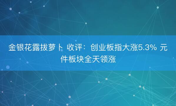 金银花露拔萝卜 收评：创业板指大涨5.3% 元件板块全天领涨