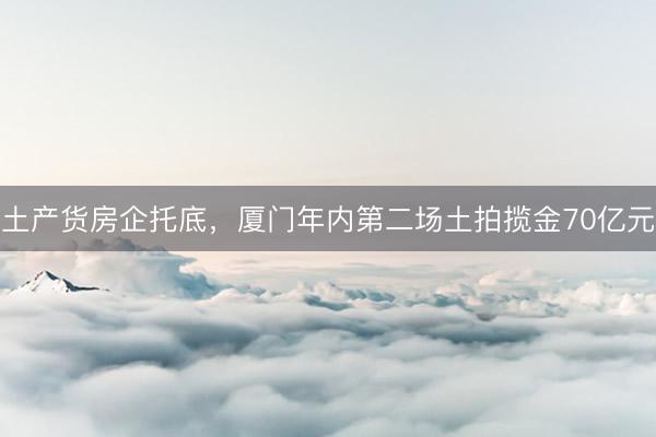土产货房企托底，厦门年内第二场土拍揽金70亿元